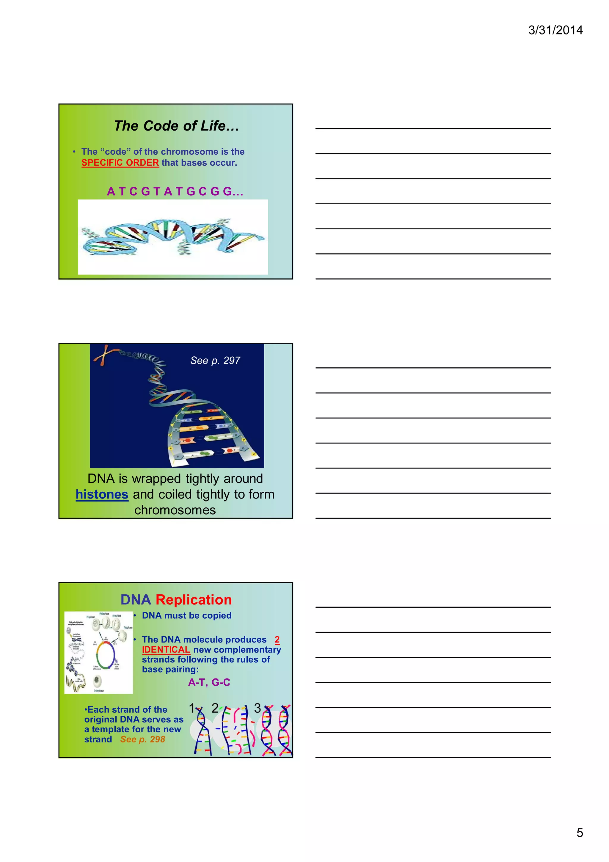 3/31/2014
5
The Code of Life…
• The “code” of the chromosome is the
SPECIFIC ORDER that bases occur.
A T C G T A T G C G G…
DNA is wrapped tightly around
histones and coiled tightly to form
chromosomes
See p. 297
DNA Replication
• DNA must be copied
• The DNA molecule produces 2
IDENTICAL new complementary
strands following the rules of
base pairing:
A-T, G-C
•Each strand of the
original DNA serves as
a template for the new
strand See p. 298
 