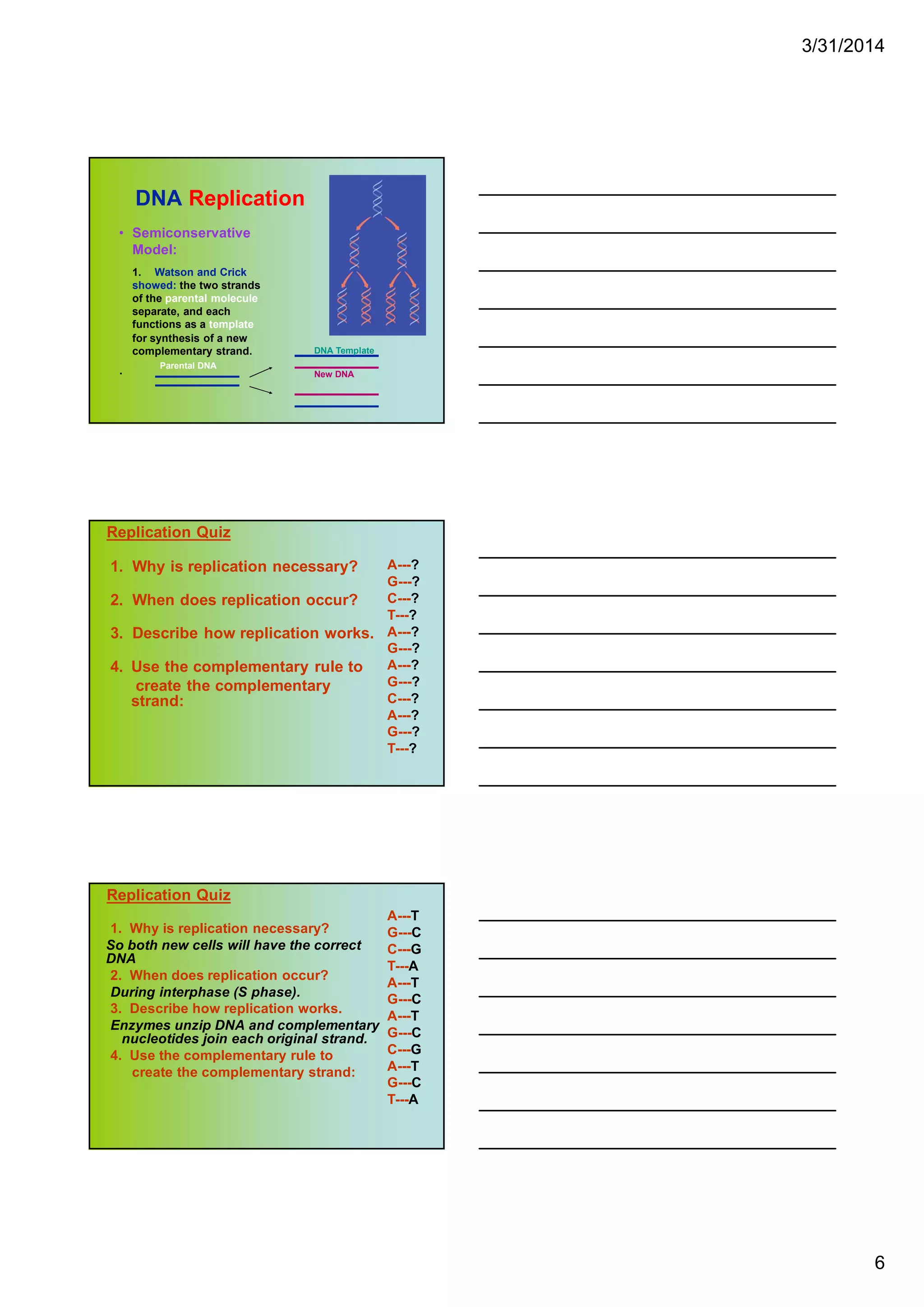 3/31/2014
6
DNA Replication
• Semiconservative
Model:
1. Watson and Crick
showed: the two strands
of the parental molecule
separate, and each
functions as a template
for synthesis of a new
complementary strand.
. Parental DNA
DNA Template
New DNA
1. Why is replication necessary?
2. When does replication occur?
3. Describe how replication works.
4. Use the complementary rule to
create the complementary
strand:
A---?
G---?
C---?
T---?
A---?
G---?
A---?
G---?
C---?
A---?
G---?
T---?
Replication Quiz
1. Why is replication necessary?
So both new cells will have the correct
DNA
2. When does replication occur?
During interphase (S phase).
3. Describe how replication works.
Enzymes unzip DNA and complementary
nucleotides join each original strand.
4. Use the complementary rule to
create the complementary strand:
A---T
G---C
C---G
T---A
A---T
G---C
A---T
G---C
C---G
A---T
G---C
T---A
Replication Quiz
 