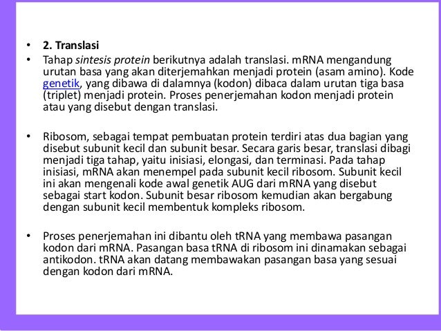 Apa Yang Dimaksud Tahap Inisiasi Elongasi Dan Terminasi