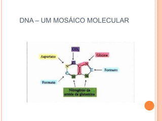 DNA – UM MOSÁICO MOLECULAR
 