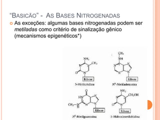 “BASICÃO” - AS BASES NITROGENADAS
   As exceções: algumas bases nitrogenadas podem ser
    metiladas como critério de sinalização gênico
    (mecanismos epigenéticos*)
 