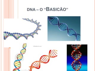 DNA – O “BASICÃO”
 