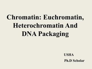 Chromatin: Euchromatin,
Heterochromatin And
DNA Packaging
USHA
Ph.D Scholar
 