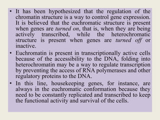 Dna Accessibility DNA Packaging.pptx