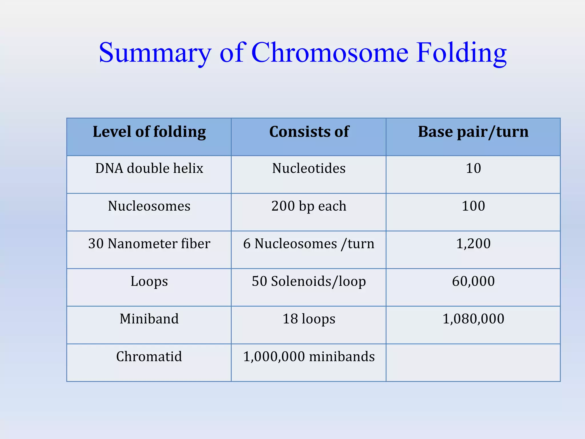 Level of folding Consists of Base pair/turn
DNA double helix Nucleotides 10
Nucleosomes 200 bp each 100
30 Nanometer fiber 6 Nucleosomes /turn 1,200
Loops 50 Solenoids/loop 60,000
Miniband 18 loops 1,080,000
Chromatid 1,000,000 minibands
Summary of Chromosome Folding
 