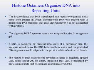 Histone Octamers Organize DNA into
Repeating Units
• The first evidence that DNA is packaged into regularly organized units
came from studies in which chromosomal DNA was treated with a
nonspecific DNA nuclease, that cuts DNA wherever it is not associated
with proteins.
• The digested DNA fragments were then analyzed for size in an agarose
gel.
• If DNA is packaged by proteins into units of a particular size, the
nuclease would cleave the DNA between these units, and the protected
DNA segments would migrate in the gel as a ladder of unit-sized bands.
• The results of such experiments revealed a series of regularly spaced
DNA bands about 200 bp apart, indicating that DNA is packaged by
proteins into units that encompass approximately 200 bp
 
