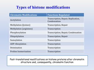 Chromatin Modifications Functions Regulated
Acetylation
Transcription, Repair, Replication,
Condensation
Methylation (lysines) Transcription, Repair
Methylation (arginines) Transcription
Phosphorylation Transcription, Repair, Condensation
Ubiquitylation Transcription, Repair
Sumoylation Transcription
ADP ribosylation Transcription
Deimination Transcription
Proline Isomerization Transcription
Types of histone modifications
Post-translational modifications on histone proteins alter chromatin
structure and, consequently, chromatin function
 