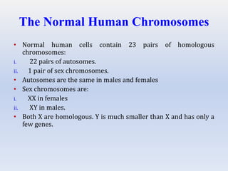 The Normal Human Chromosomes
• Normal human cells contain 23 pairs of homologous
chromosomes:
i. 22 pairs of autosomes.
ii. 1 pair of sex chromosomes.
• Autosomes are the same in males and females
• Sex chromosomes are:
i. XX in females
ii. XY in males.
• Both X are homologous. Y is much smaller than X and has only a
few genes.
 