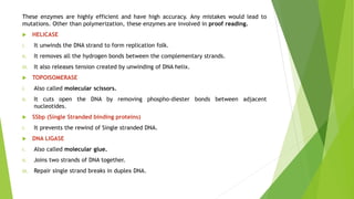 Dna packaging and replication | PPTX