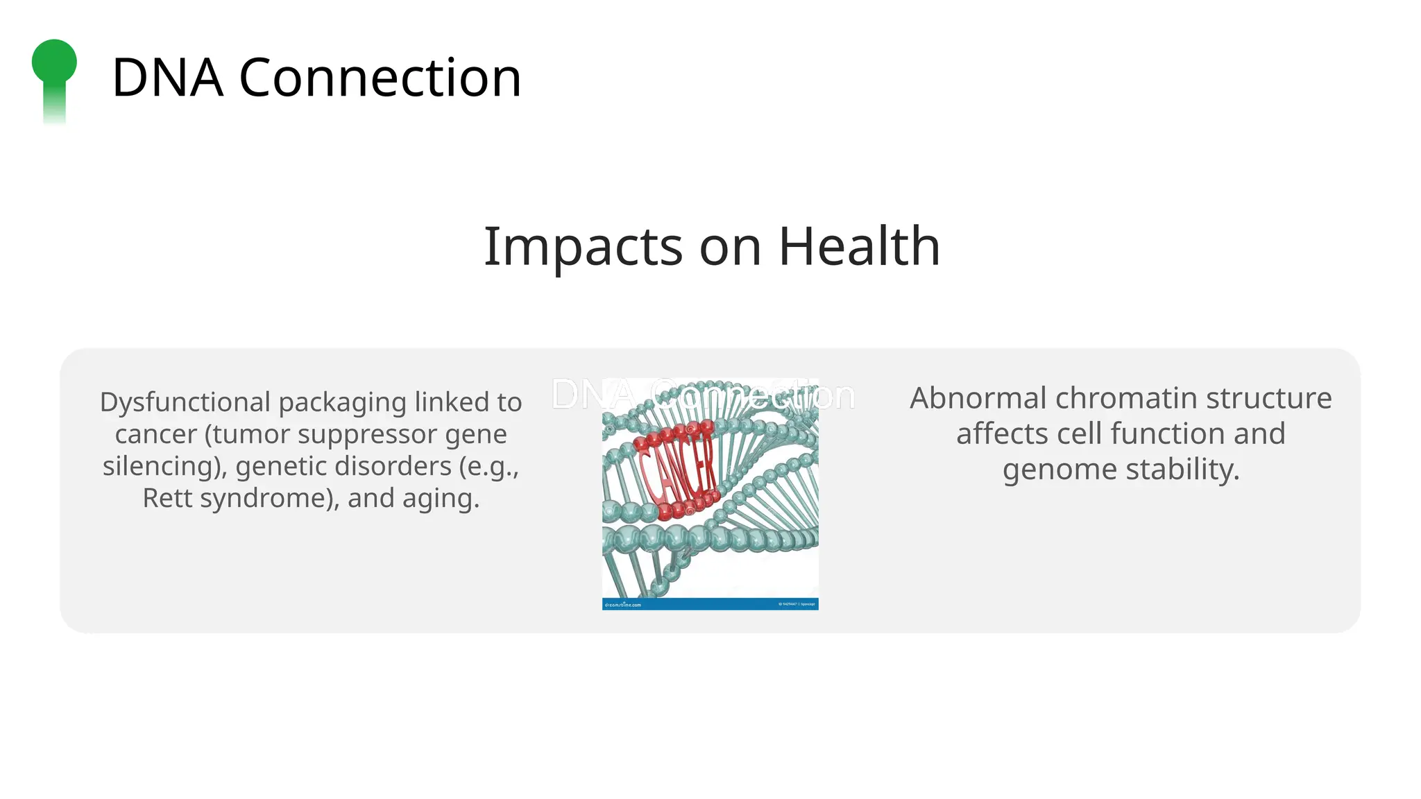DNA Packaging in Eukaryotic Cells.pptx