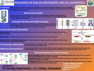 DNA Packaging in Eukaryotes and Prokaryotes.pptx