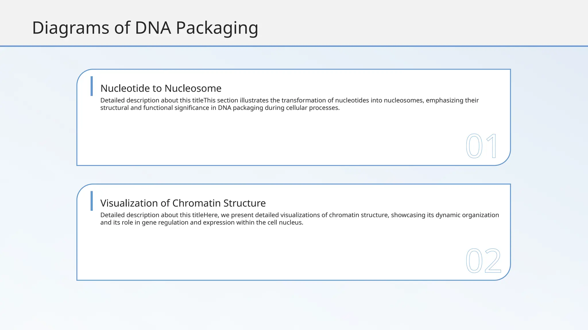 DNA Packaging_ Structure and Function in Cells.pptx