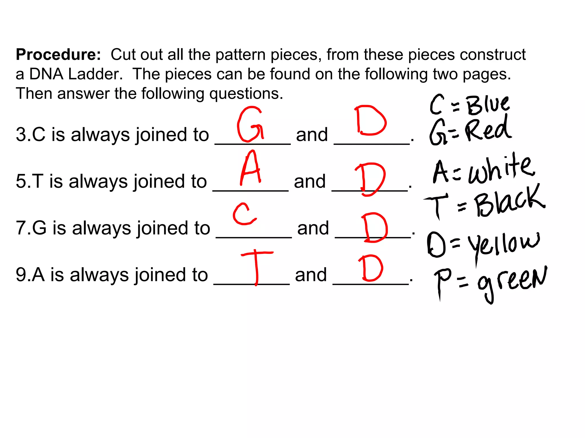 Procedure: Cut out all the pattern pieces, from these pieces construct a DNA Ladder. The pieces can be found on the following two pages. Then answer the following questions. C is always joined to _______ and _______. T is always joined to _______ and _______. G is always joined to _______ and _______. A is always joined to _______ and _______.