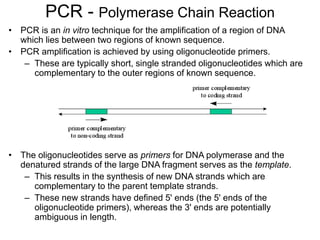PCR - Polymerase Chain Reaction
• PCR is an in vitro technique for the amplification of a region of DNA
which lies between two regions of known sequence.
• PCR amplification is achieved by using oligonucleotide primers.
– These are typically short, single stranded oligonucleotides which are
complementary to the outer regions of known sequence.
• The oligonucleotides serve as primers for DNA polymerase and the
denatured strands of the large DNA fragment serves as the template.
– This results in the synthesis of new DNA strands which are
complementary to the parent template strands.
– These new strands have defined 5' ends (the 5' ends of the
oligonucleotide primers), whereas the 3' ends are potentially
ambiguous in length.
 