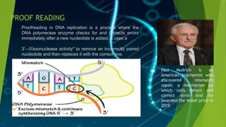 dna polymarase a enzyme 1-1 new.pptx.pptx