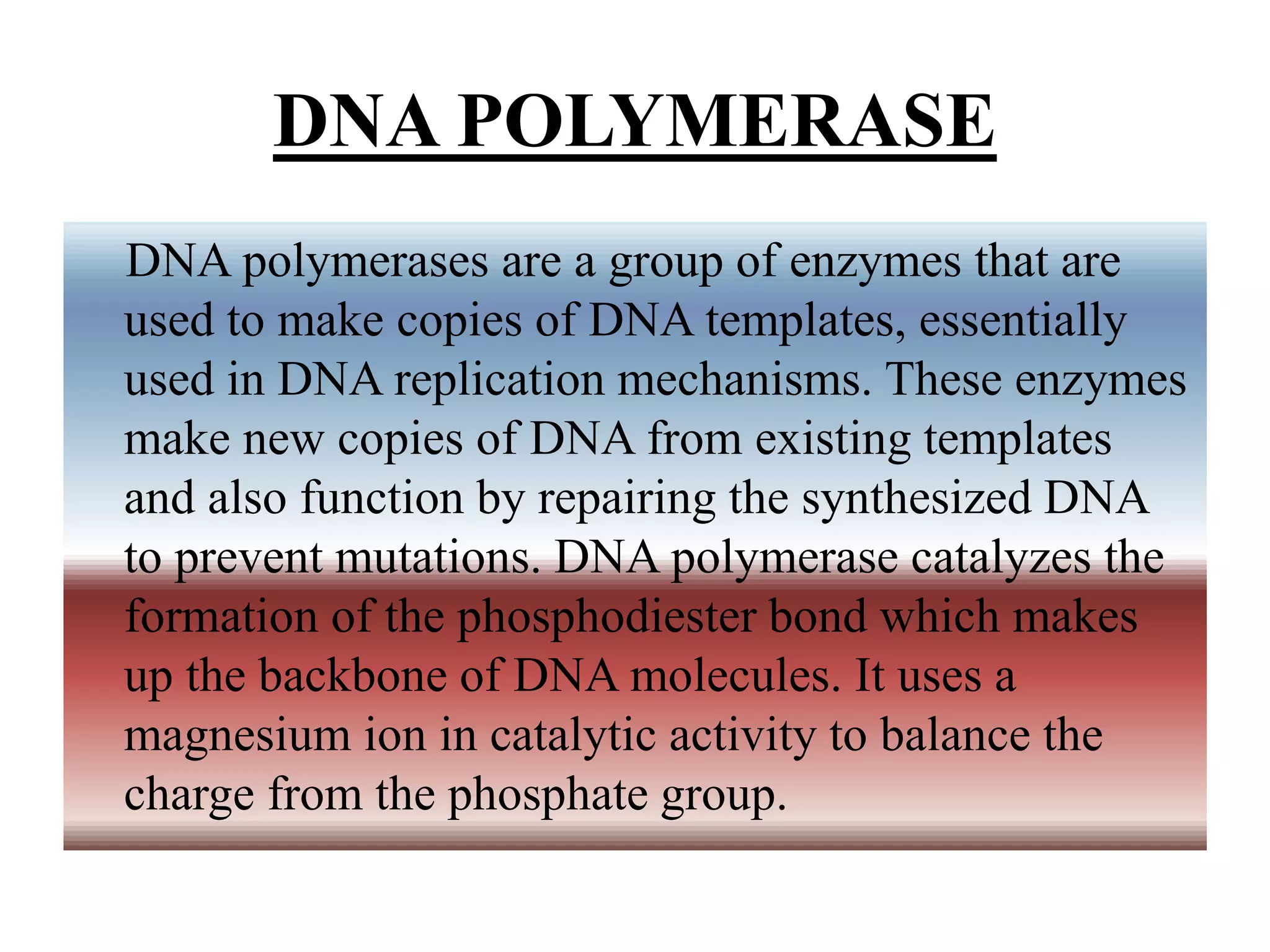 How Do Dna Polymerase I And Dna Polymerase Iii Differ DNA POLYMERASE | PPT