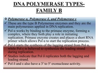 DNA POLYMERASE TYPES-
FAMILY B
Polymerase α, Polymerase δ, and Polymerase ε
 These are the type B Polymerase enzymes and they are the
main polymerases applied in DNA replication.
 Pol α works by binding to the primase enzyme, forming a
complex, where they both play a role in initiating
replication. Primase enzyme creates and places a short RNA
primer which allows Pol α to start the replication process.
 Pol δ starts the synthesis of the lagging strand from Pol α,
while Pol ε is believed to synthesize the leading strand
during replication.
 Studies indicate that Pol δ replicates both the lagging and
leading strand.
 Pol δ and ε also have a 3′ to 5′ exonuclease activity.
 