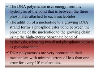 The DNA polymerase uses energy from the
hydrolysis of the bond that is between the three
phosphates attached to each nucleotides.
The addition of a nucleotide to a growing DNA
strand forms a phosphodiester bond between the
phosphate of the nucleotide to the growing chain
using the high-energy phosphate bond of
hydrolysis, releasing two distal phosphates known
as pyrophosphate.
DNA polymerases are very accurate in their
mechanism with minimal errors of less than one
error for every 106 nucleotides.
 