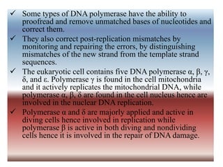  Some types of DNA polymerase have the ability to
proofread and remove unmatched bases of nucleotides and
correct them.
 They also correct post-replication mismatches by
monitoring and repairing the errors, by distinguishing
mismatches of the new strand from the template strand
sequences.
 The eukaryotic cell contains five DNA polymerase α, β, γ,
δ, and ε. Polymerase γ is found in the cell mitochondria
and it actively replicates the mitochondrial DNA, while
polymerase α, β, δ are found in the cell nucleus hence are
involved in the nuclear DNA replication.
 Polymerase α and δ are majorly applied and active in
diving cells hence involved in replication while
polymerase β is active in both diving and nondividing
cells hence it is involved in the repair of DNA damage.
 