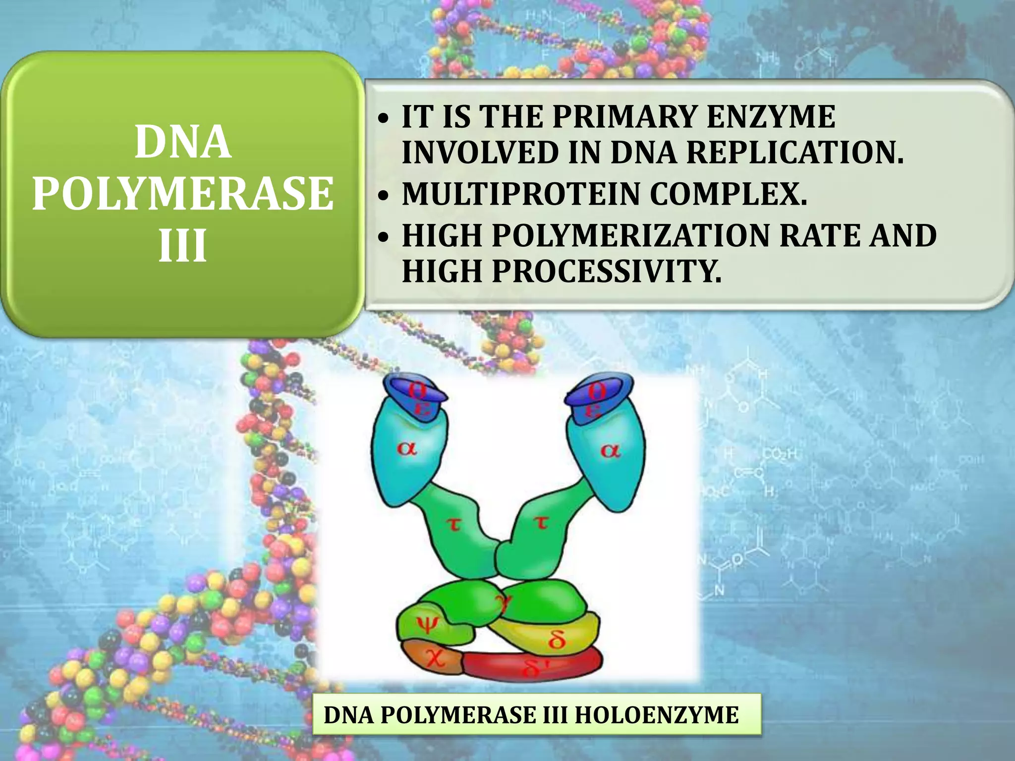How Do Dna Polymerase I And Dna Polymerase Iii Differ DNA POLYMERASE.pptx