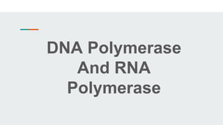 DNA Polymerase
And RNA
Polymerase
 