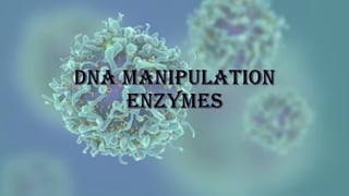 DNA manipulation
Enzymes
 