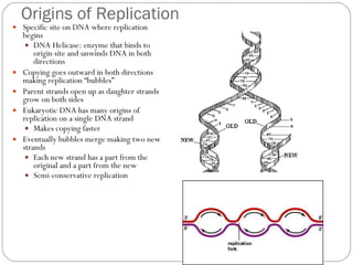 Dna power point final | PPT