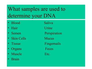 What samples are used to
determine your DNA
• Blood Saliva
• Hair Urine
• Semen Perspiration
• Skin Cells Mucus
• Tissue Fingernails
• Organs Feces
• Muscle Etc.
• Brain