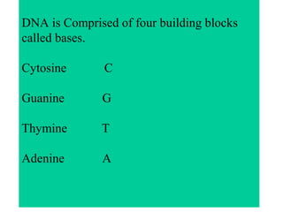 DNA is Comprised of four building blocks
called bases.
Cytosine C
Guanine G
Thymine T
Adenine A