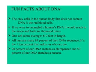 FUN FACTS ABOUT DNA:
The only cells in the human body that does not contain
DNA is the red blood cells.
If we were to untangled a human’s DNA it would reach to
the moon and back six thousand times.
One cell alone averages 6-9 feet in length.
All humans share 99 percent of their DNA sequence, It’s
the 1 ten percent that makes us who we are.
98 percent of our DNA matches a chimpanzee and 50
percent of our DNA matches a banana.
