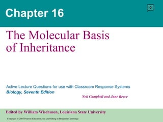 Chapter 16 The Molecular Basis of Inheritance 0 