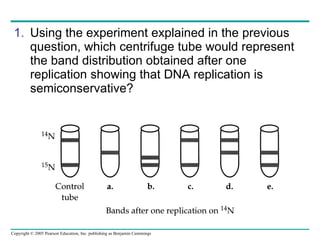 Using the experiment explained in the previous question, which centrifuge tube would represent the band distribution obtained after one replication showing that DNA replication is semiconservative? 