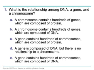 What is the relationship among DNA, a gene, and a chromosome?   A chromosome contains hundreds of genes, which are composed of protein.  A chromosome contains hundreds of genes, which are composed of DNA.  A gene contains hundreds of chromosomes, which are composed of protein.  A gene is composed of DNA, but there is no relationship to a chromosome.  A gene contains hundreds of chromosomes, which are composed of DNA.  
