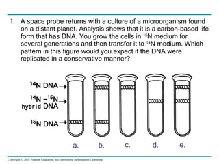 A space probe returns with a culture of a microorganism found on a distant planet. Analysis shows that it is a carbon-based life form that has DNA. You grow the cells in  15 N medium for several generations and then transfer it to  14 N medium. Which pattern in this figure would you expect if the DNA were replicated in a conservative manner?  a. d. c. b. e. 