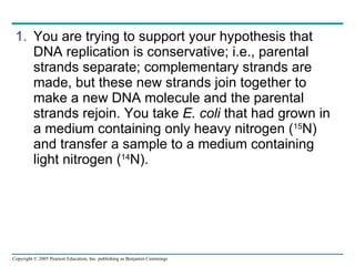 You are trying to support your hypothesis that DNA replication is conservative; i.e., parental strands separate; complementary strands are made, but these new strands join together to make a new DNA molecule and the parental strands rejoin. You take  E. coli  that had grown in a medium containing only heavy nitrogen ( 15 N) and transfer a sample to a medium containing light nitrogen ( 14 N).  