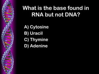 What is the base found in
RNA but not DNA?
A) Cytosine
B) Uracil
C) Thymine
D) Adenine
 