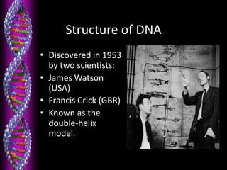 Structure of DNA
• Discovered in 1953
by two scientists:
• James Watson
(USA)
• Francis Crick (GBR)
• Known as the
double-helix
model.
 