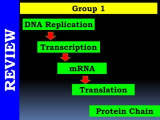 REVIEW Group 1
DNA Replication
Transcription
mRNA
Protein Chain
Translation
 