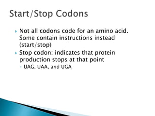 Stop Code Uaa DNA ppt.ppt