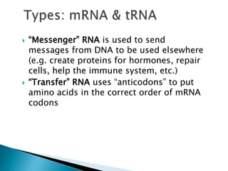 Science 10 Quarter 3; DNA structure ppt. | PPT