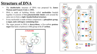 Structure of DNA
• The double-helix structure of DNA was proposed by James
Watson and Francis Crick in 1953.
• DNA is made of building blocks called nucleotides bonded
together. It consists of two polynucleotide chains coils around the
same axis to form a right- handed helical structure.
• Every nucleotide is made of three components: a phosphate group,
a sugar, and a nitrogen- containing base.
• The sugar present in DNA is deoxyribose, a five-carbon pentose
sugar that lacks a hydroxyl (-OH) group at the 2' carbon.
A Nucleotide
•
 