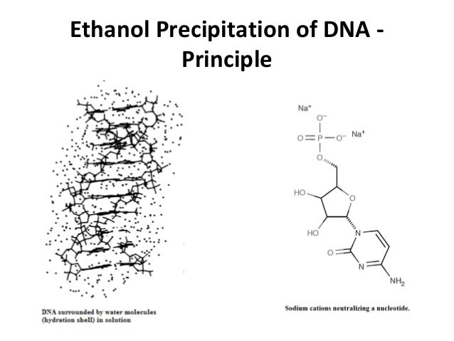dna precipitation methods principle