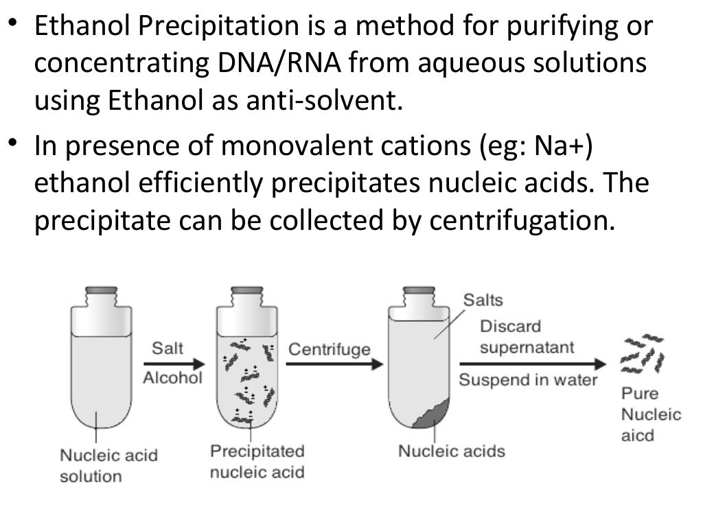 DNA Precipitation Methods & Principle