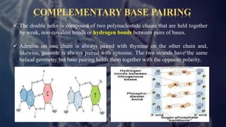 DNa Deoxyribonucleic acid- code of life | PPTX