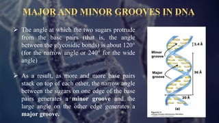 DNa Deoxyribonucleic acid- code of life | PPTX