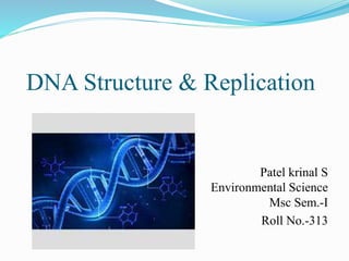 DNA Structure & Replication
Patel krinal S
Environmental Science
Msc Sem.-I
Roll No.-313
 