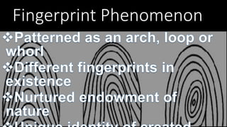Fingerprint Phenomenon
 
