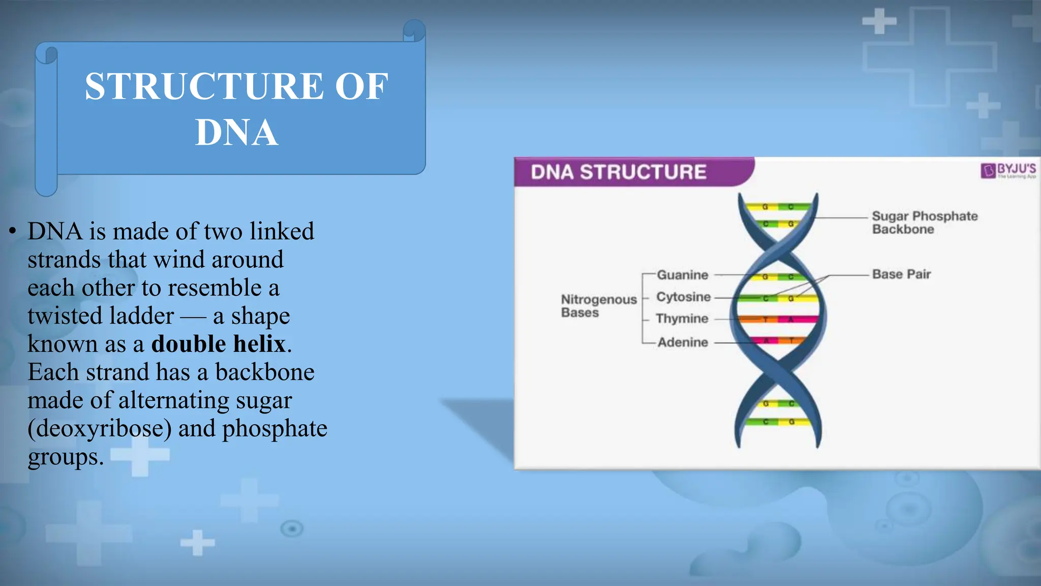 DNA PRESENTATION.pptx