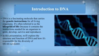 DNA PRESENTATION.pptx
