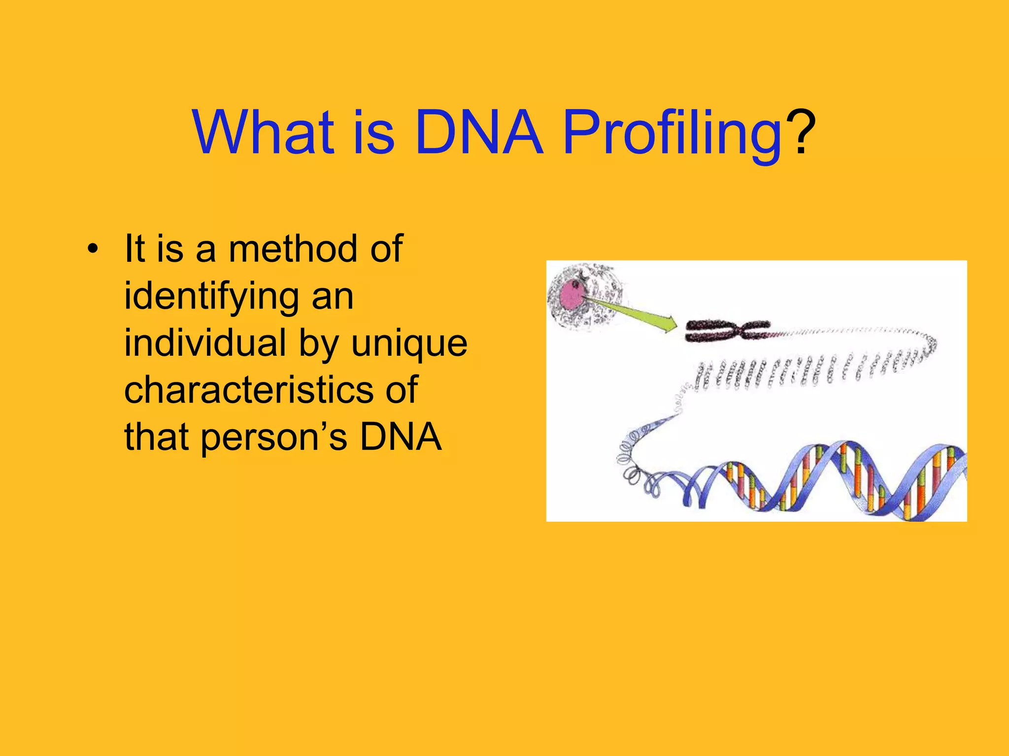 Dnaprofiling
